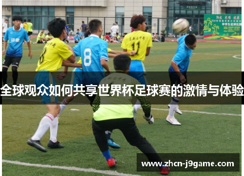 全球观众如何共享世界杯足球赛的激情与体验