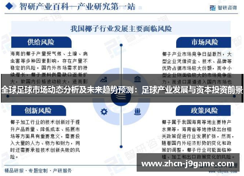 全球足球市场动态分析及未来趋势预测：足球产业发展与资本投资前景