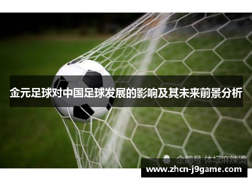 金元足球对中国足球发展的影响及其未来前景分析